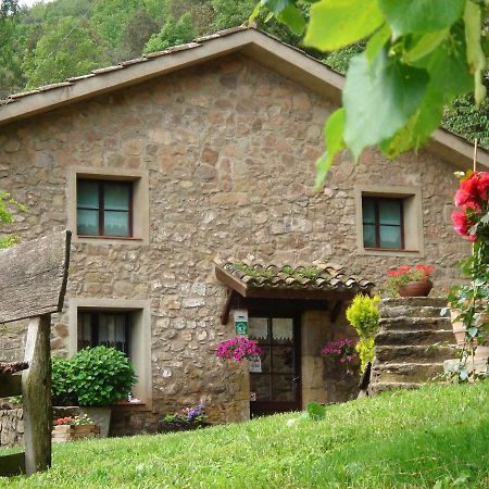 Mas El Bosquet Joanetes Exterior foto